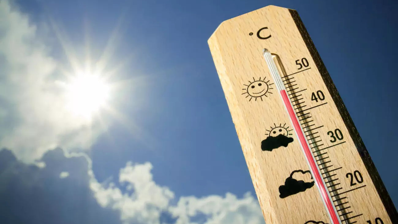 trucos para combatir el calor