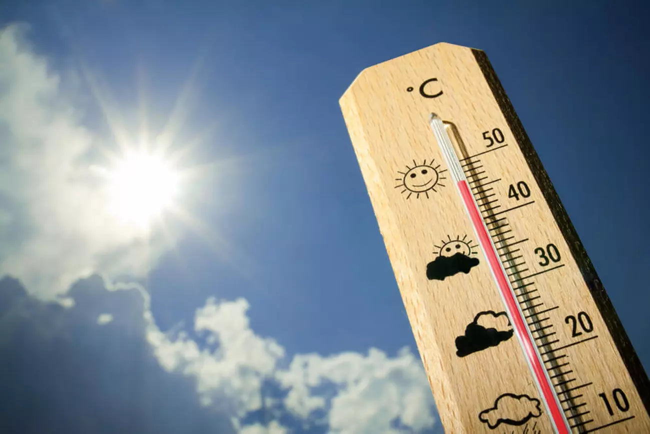 trucos para combatir el calor